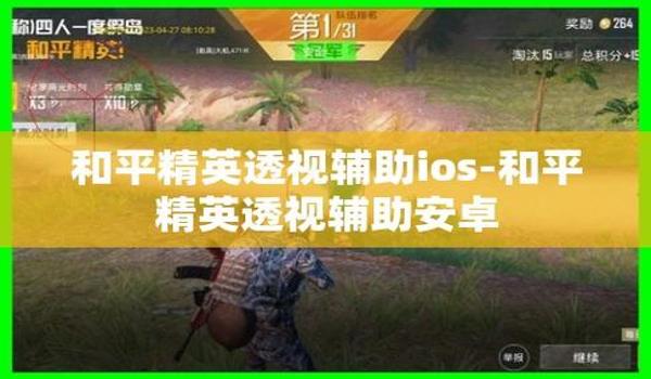 和平精英辅助开启怎么弄